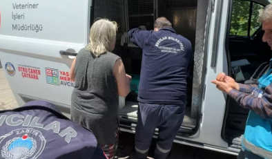 Avcılar’da “Çöp Ev” İhbarı: Evin İçinden 8 Kedi Çıktı