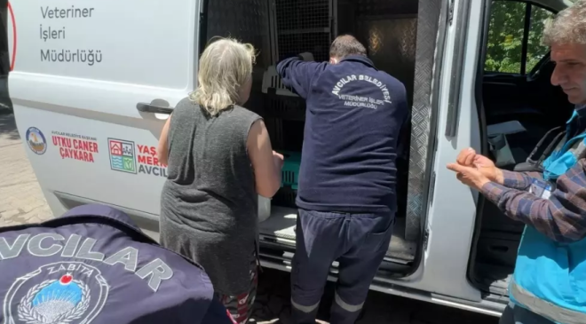 Avcılar’da “Çöp Ev” İhbarı: Evin İçinden 8 Kedi Çıktı