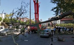 İstanbul’da Kuvvetli Rüzgar Araçların Üzerine Ağaç Devirdi!