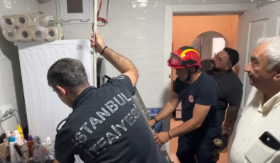 Avcılar’da Martının Hayatta Kalma Mücadelesi! 3 Günlük Esaret Son Buldu