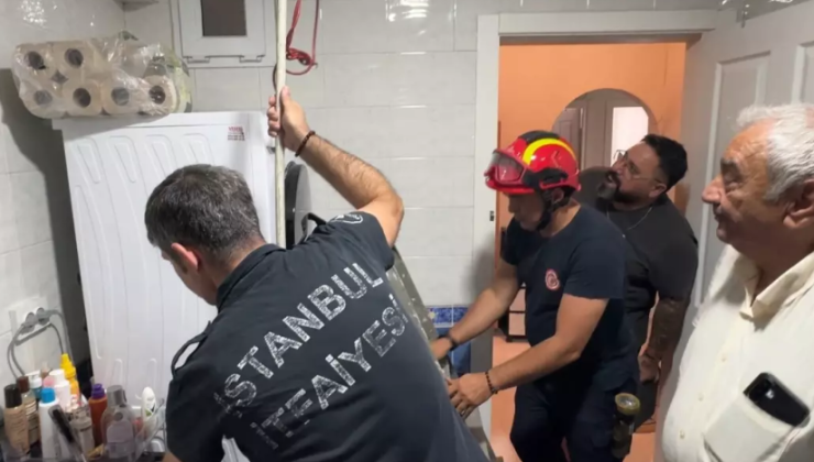 Avcılar’da Martının Hayatta Kalma Mücadelesi! 3 Günlük Esaret Son Buldu
